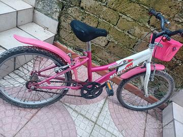 bicicletta