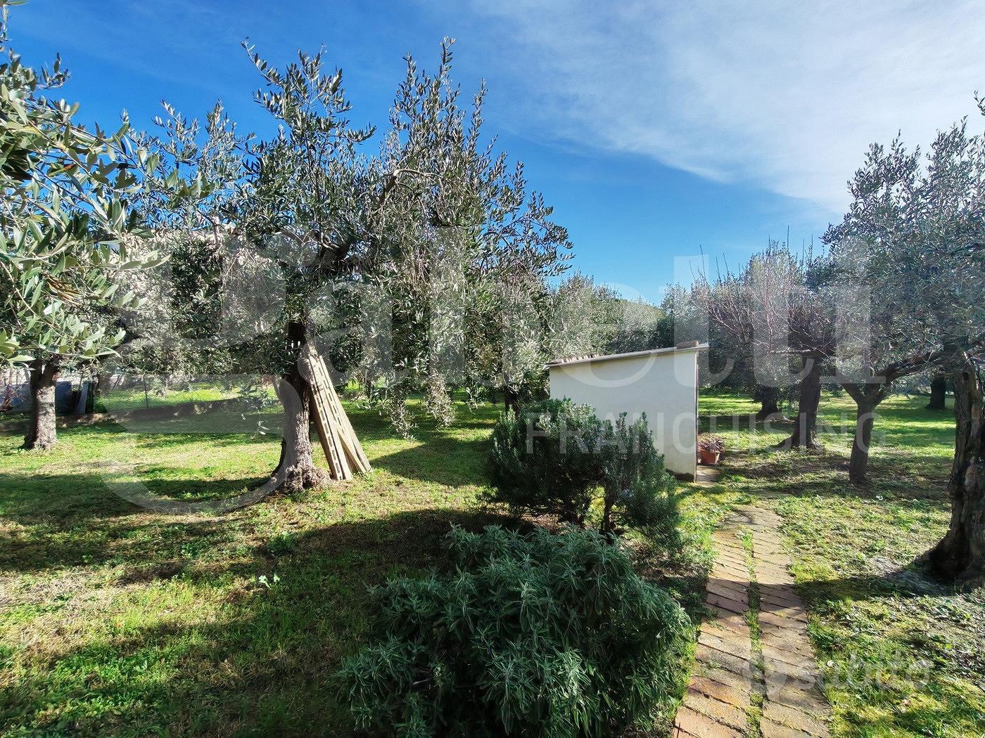 Terreno Residenziale Vasto [IM202593VRG] - Vista 3
