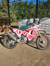 Kove 450 rally 2024 540 km versione ALTA