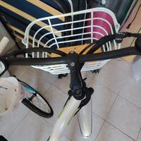 Bicicleta Elettrica