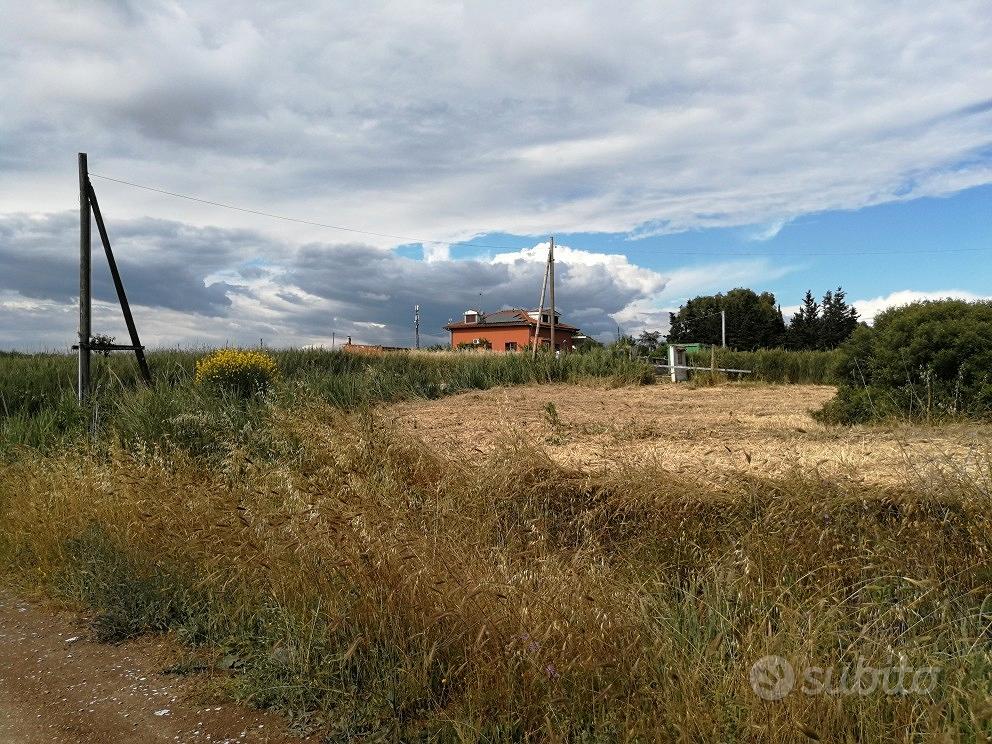 Terreno zona ardea - Vista 3