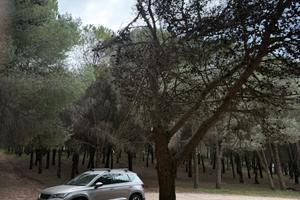 Seat Ateca 2016 130.000km 1.6TDi