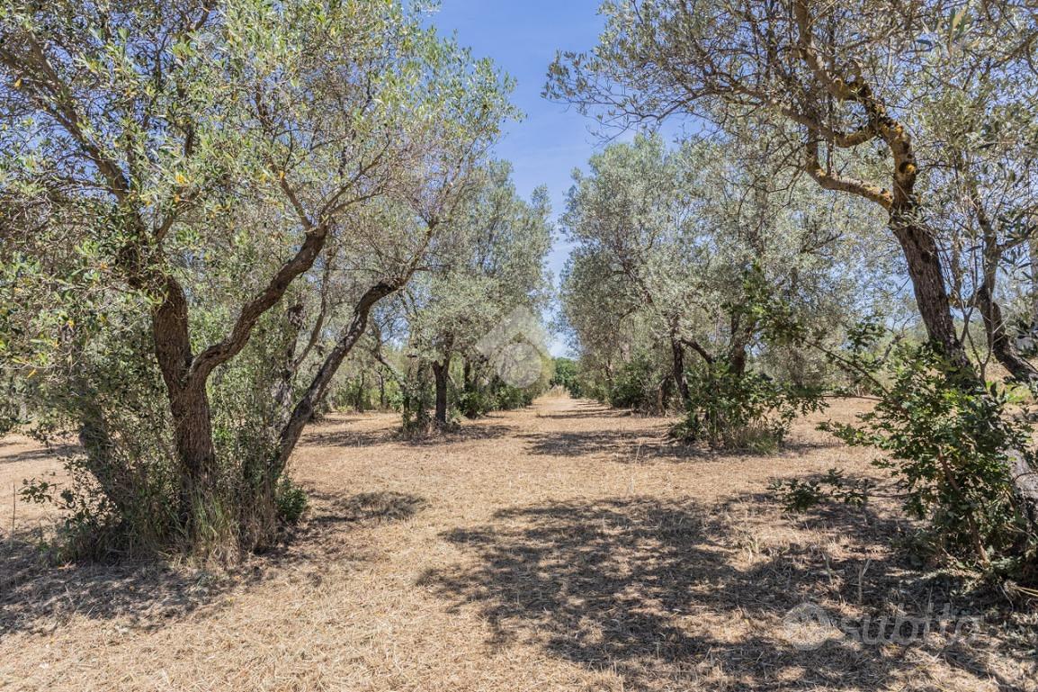 Casa – Vetralla, Madonna del Ponte - Vista 4