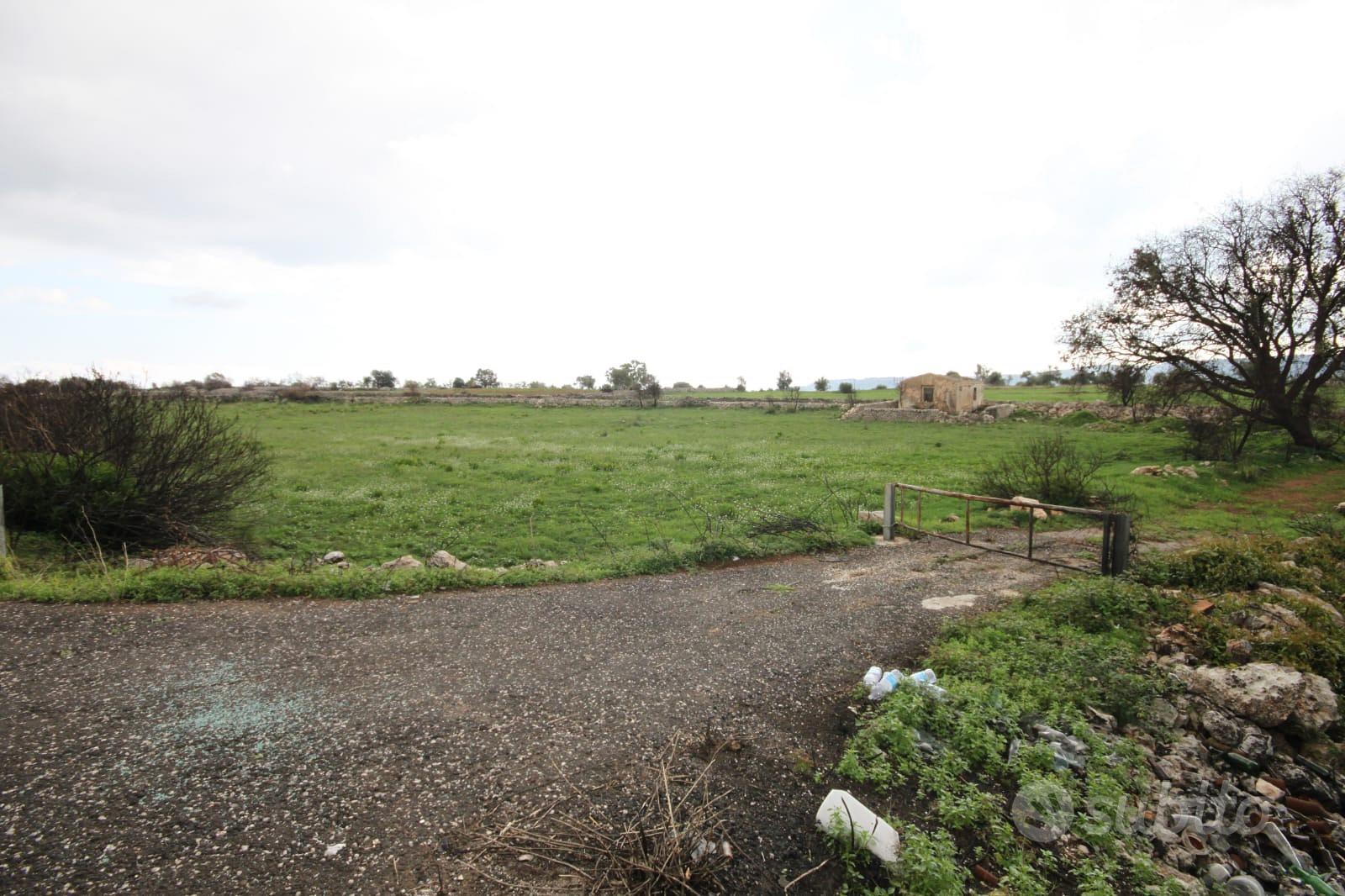 Terreno agricolo 8800 mq - Vista 2