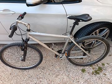 Mountain bike