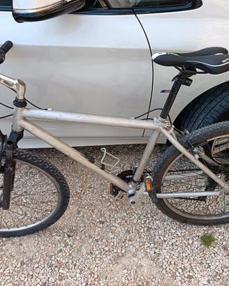 Mountain bike