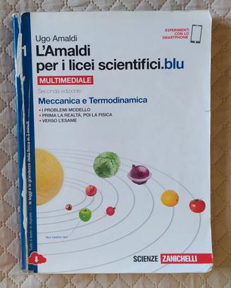 L'Amaldi per i licei scientifici.blu ed.1