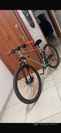bicicletta