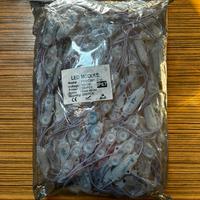 Moduli LED 100pz 2W 12V 6000K IP68