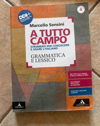 A tutto campo Grammatica e Lessico (A)
