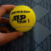 Pallina autograffata  e autografo di Sinner