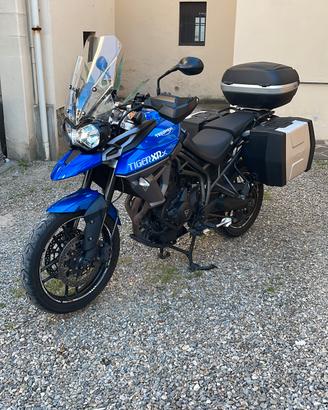 Cupolino Triumph Tiger 800 xr xc