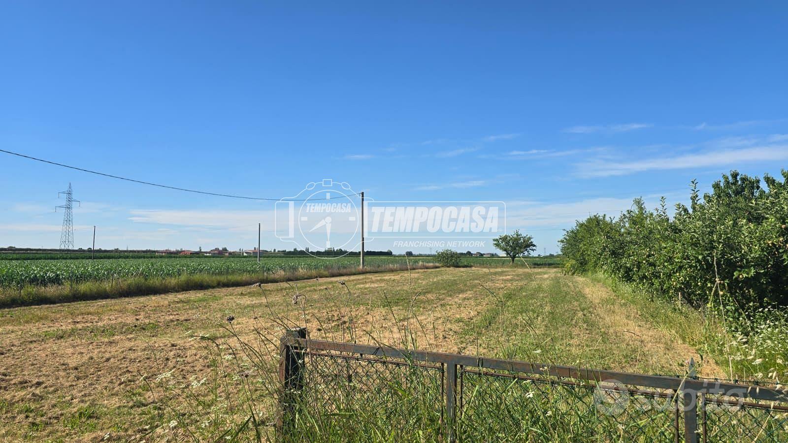 RUSTICO CON TERRENO AGRICOLO - Vista 4