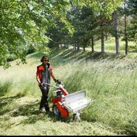 Gestione terreni, boschi e giardini