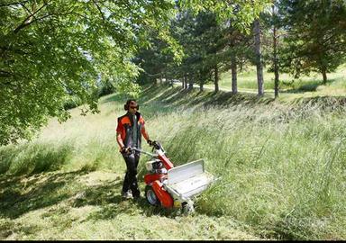 Gestione terreni, boschi e giardini