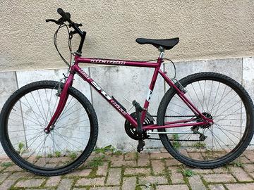 MTB DA 26 SPORT EURO 50 PERFETTA 