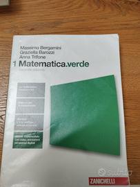 Matematica verde 1