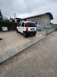 Panda 4x41.2 benzina