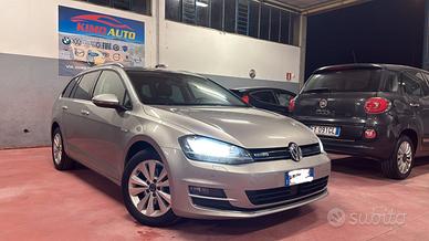Volkswagen Golf Variant 1.4 TGI DSG Highline BlueM