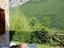 Immagine 27