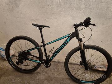 Mountain Bike Bianchi