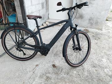 Bici elettrica 