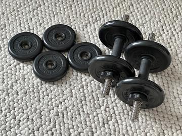 Set manubri regolabili con dischi