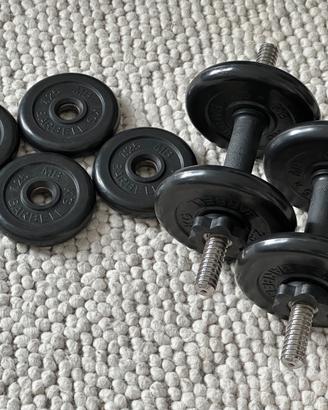 Set manubri regolabili con dischi