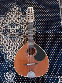mandolino 12 corde