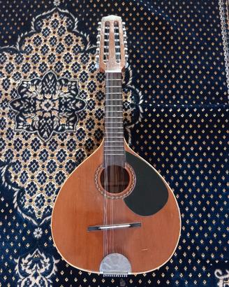 mandolino 12 corde