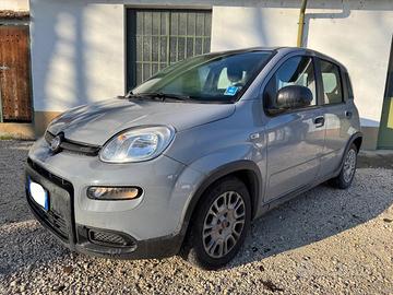 FIAT New Panda IN PROMOZIONE!!!!1.0 FireFly S&S