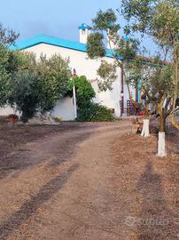 Casa l'ulivo