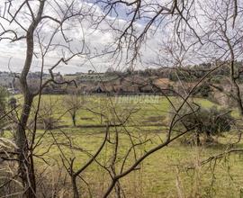 TERRENO AGRICOLO mq 20.000