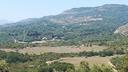 terreno-agricolo-34-ha-e-fabbricati-da-recuperare