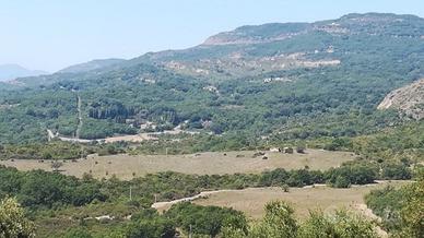 Terreno agricolo 34 HA e fabbricati da recuperare
