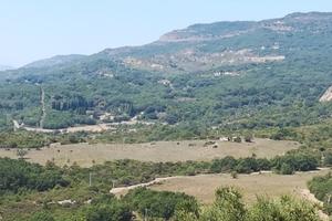 Terreno agricolo 34 HA e fabbricati da recuperare