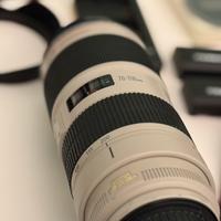 Canon EF 70-200mm f/2.8L IS II USM - Perfetto