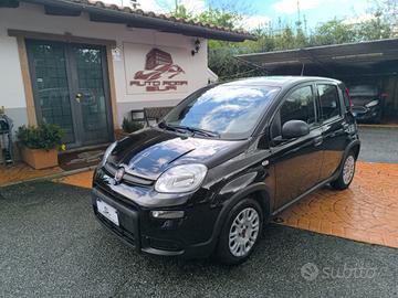 FIAT Panda 1.2 Easy PREZZO REALE! GPL! PRONTA CO