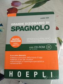Dizionario spagnolo