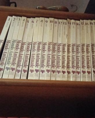 enciclopedia 