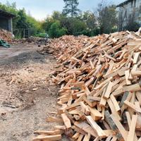 Legna di faggio selezionata per pizzerie