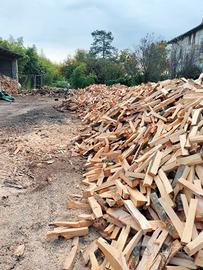 Legna di faggio selezionata per pizzerie