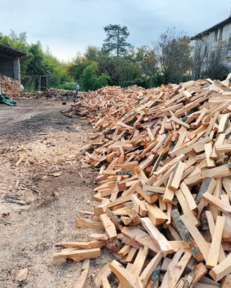 Legna di faggio selezionata per pizzerie