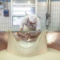 per Parmigiano Reggiano Pezza del casaro in lino