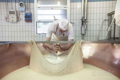 per Parmigiano Reggiano Pezza del casaro in lino