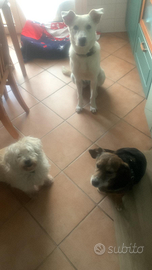 Il dono più bello per la vita