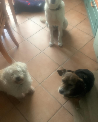 Il dono più bello per la vita