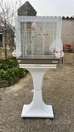 Gabbia camilla imac cocorite inseparabili canarini