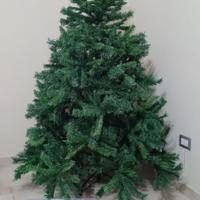 Albero 210