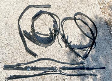 Testiera + martingala per cavallo